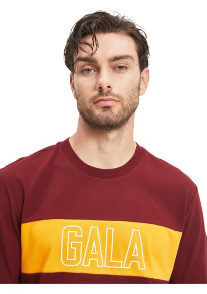 GS Store Galatasaray Erkek T-Shirt E241128