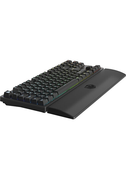 Rapid Pro Tkl Monster Tactile Red Switch 80 M Tıklama Kablolu Mekanik Rgb Oyuncu Klavyesi (Siyah)