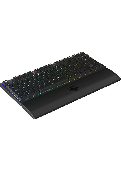 Rapid Pro Tkl Monster Tactile Red Switch 80 M Tıklama Kablolu Mekanik Rgb Oyuncu Klavyesi (Siyah)