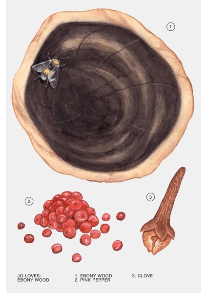 Ebony Wood Edp 100 ml Kadın Parfümü modelleri