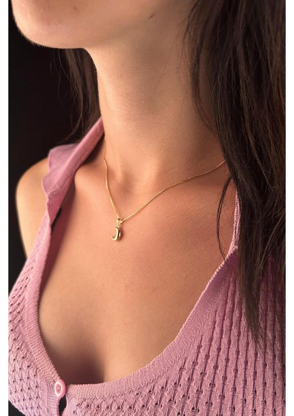 14 Ayar Altın İpek Zincir Hilal Ay Uçlu Kolye