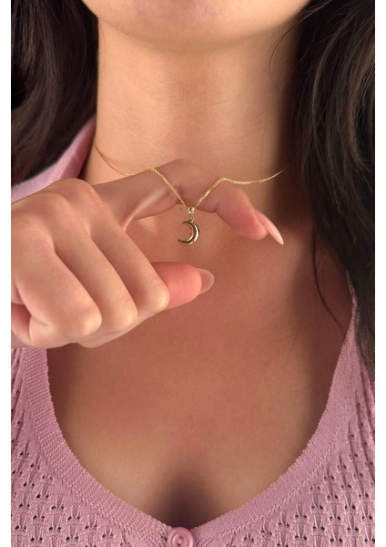 14 Ayar Altın İpek Zincir Hilal Ay Uçlu Kolye fiyatları