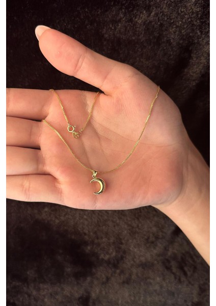 14 Ayar Altın İpek Zincir Hilal Ay Uçlu Kolye fırsatları