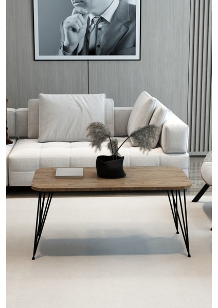 Dikdörtgen Orta Sehpa Oval Kenar Dekoratif Sehpa Orta Sehpa Metal Tel Ayak Ahşap fiyatları