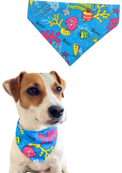 Sahil Havhavları Temalı Köpek Fuları (S, M, L) Ayarlanabilir Bandana, Köpek Aksesuarı, Tasma