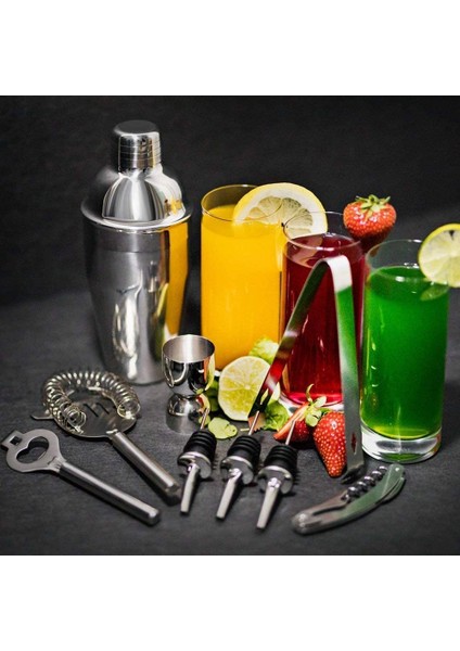 Kokteyl Shaker Seti, 12 Parça Barmen Seti Paslanmaz Çelik Standlı Bar Alet Çubuğu Aksesuarları, Ev Barmenliği (Yurt Dışından) fırsatları