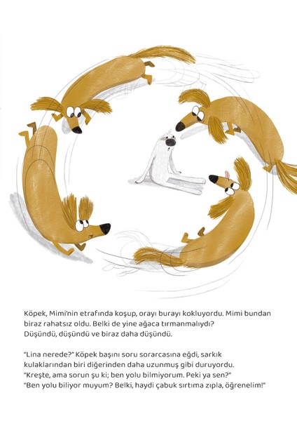 Mimi ve Lina - Bir Pelüş Oyuncağın Karşılıksız Sevgisi modelleri