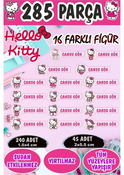 Okul Etiketi Kalem Defter Etiketi Sanrio Hello Kitty Özel Isimli Etiket 16 Figür - 285 Adet
