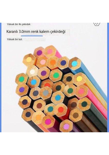 48 Renkli Yağlı Boya Kalemi Boyama Seti (Yurt Dışından)