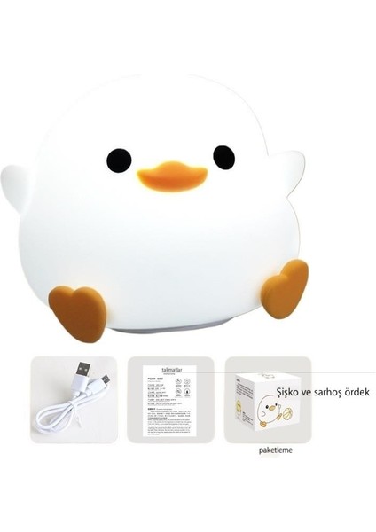 Indüksiyonlu Gece Lambası USB Şarjı (Yurt Dışından)