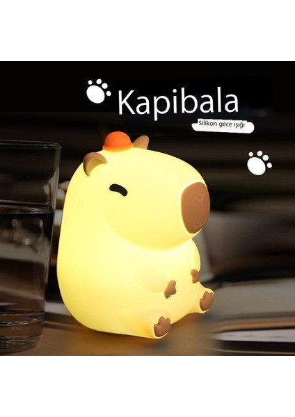 Indüksiyonlu Gece Lambası USB Şarjı (Yurt Dışından) fiyatları