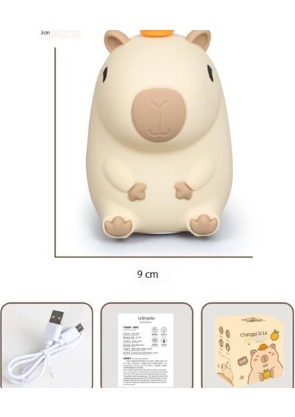 Indüksiyonlu Gece Lambası USB Şarjı (Yurt Dışından) modelleri