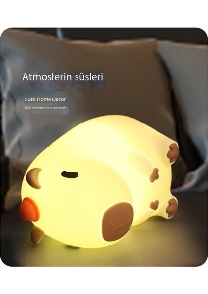 Indüksiyonlu Gece Lambası USB Şarjı (Yurt Dışından) fırsatları