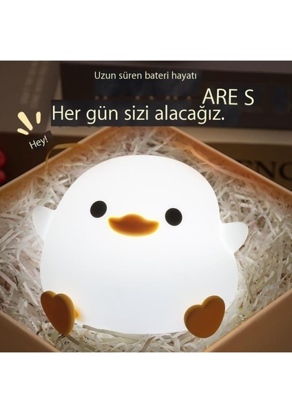 Indüksiyonlu Gece Lambası USB Şarjı (Yurt Dışından)