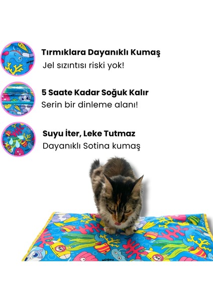 Serinletici Kedi Minderi 60X40 cm 2 Termo Jel, Dayanıklı Kumaş, Katlanabilir, Taşınabilir Kedi Yatağı