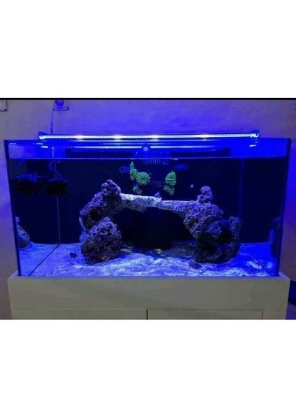 Bar LED Aydınlatma Royal Mavi 60CM