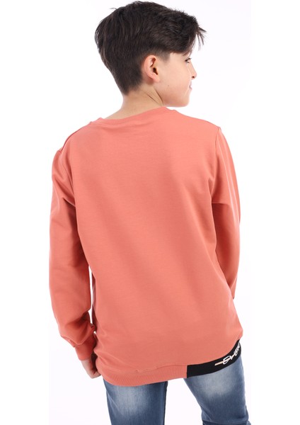 Erkek Çocuk Baskılı Sweatshirt fiyatları