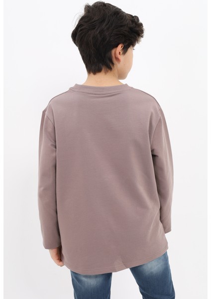 Erkek Çocuk Baskılı Sweatshirt modelleri