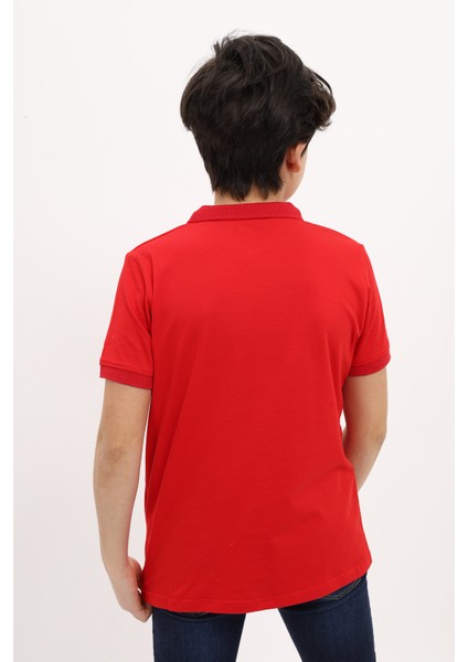 Erkek Çocuk Nakışlı Tişört modelleri