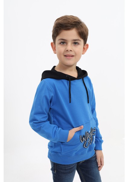 Erkek Çocuk Baskılı Sweatshirt fiyatları
