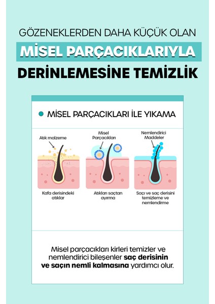 DR+ BANGGIWON Yağlı Saçlar İçin Şampuan 1000 ml