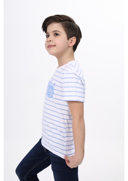 Erkek Çocuk Çizgili Tişört fiyatları