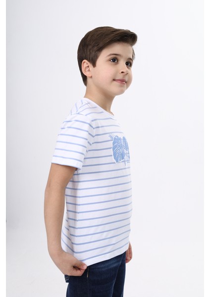 Erkek Çocuk Çizgili Tişört modelleri