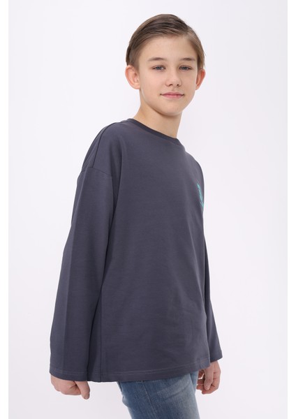 Erkek Çocuk Baskılı Sweatshirt modelleri