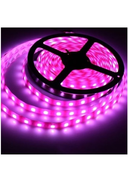 3 Çipli 4040 Iç Mekan Şerit Led-5m (Pembe) ED-2098