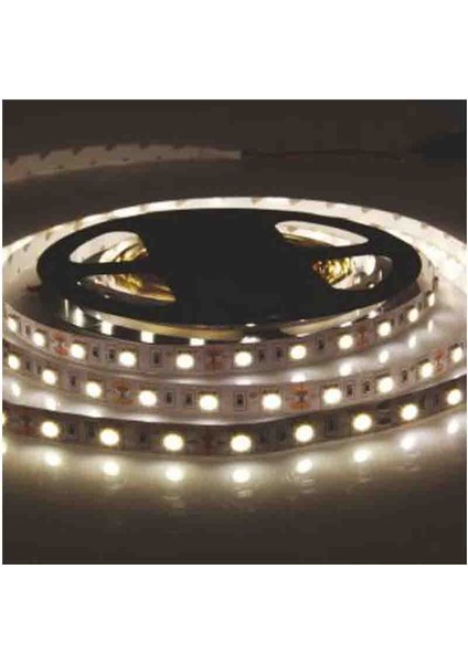 3 Çipli 4040 Iç Mekan Şerit Led-5m (Beyaz) ED-2090