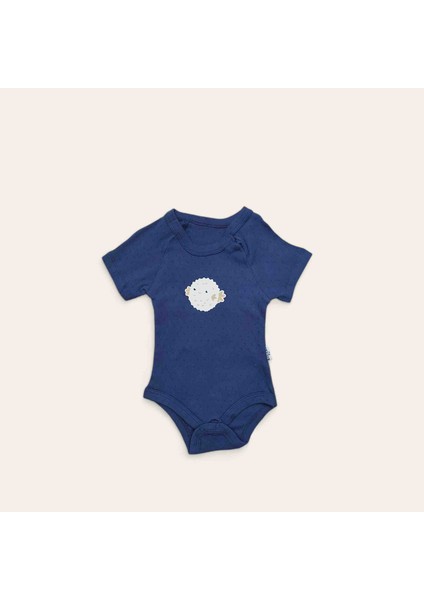 Bebek Çıtçıtlı Body Tekli
