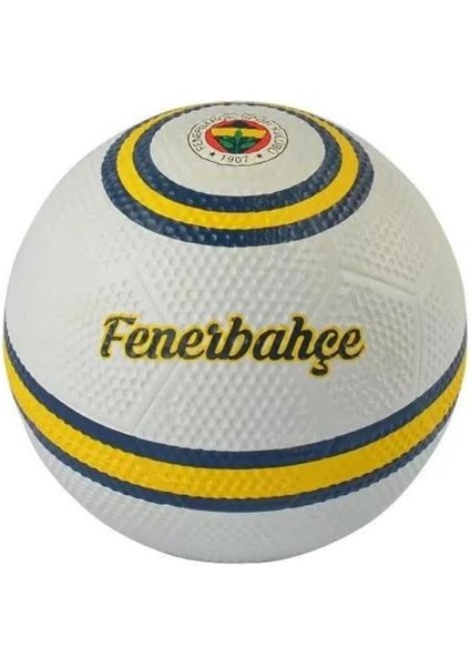 Futbol Topu Fenerbahçe Skylıne-02 NO:5573949