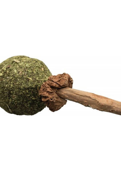 Kedi Oyuncağı Matatabi ve Kediotlu 11CM 13