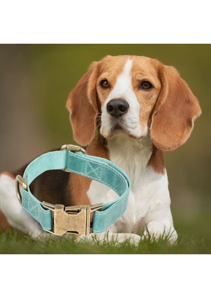 Gerçek Deriden El Yapımı Köpek Tasması, 50CM Ayarlanabilir Ölçü, Antik Yeşil