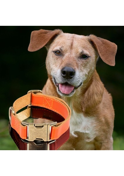 Gerçek Deriden El Yapımı Köpek Tasması, 50CM Ayarlanabilir Ölçü, Turuncu