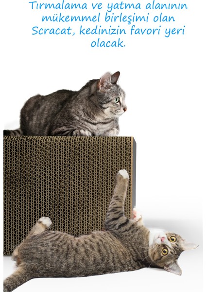 Tırmata Yeni Ürün Doğal Karton Kedi Tırmalaması Kedi Tırmalama Kanepesi Tahtası Kedi Tırmalama Evi fiyatları