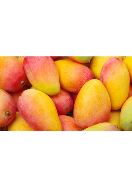 Aşk Meyvesi Finike Mango 3 Adet