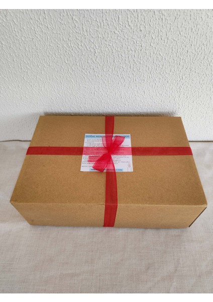 Eğitici Aktivite Mum Yapımı Seti Evde Mum Yapımı Için Mum Malzemeleri ve Mum Yapım Kılavuzuyla Birlikte Mum Yapma Seti fiyatları