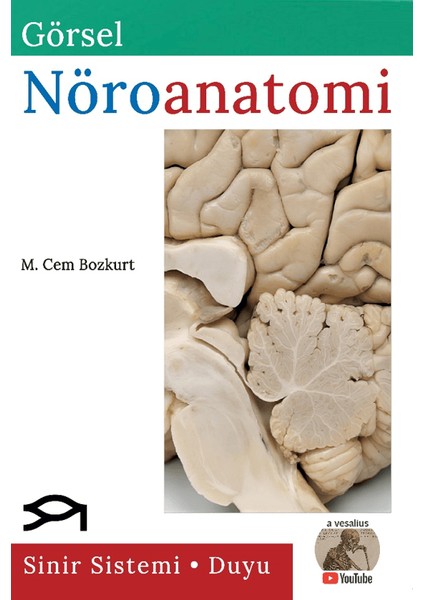 Görsel Nöroanatomi - M. Cem Bozkurt