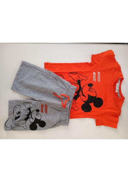 Erkek Çocuk Kompak Kumaş Şortlu Ikili Takim fiyatları