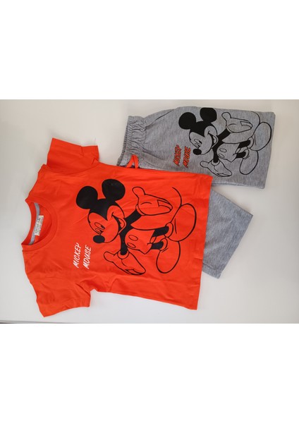 Erkek Çocuk Kompak Kumaş Şortlu Ikili Takim modelleri