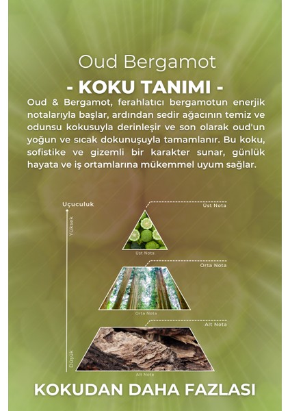 Oud & Bergamot Cam Şişe 80 Derece Kolonya Premium Eau De Cologne 33ML