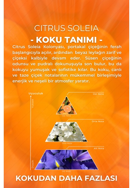 Citrus Soleia Cam Şişe 80 Derece Kolonya Premium Eau De Cologne 33ML