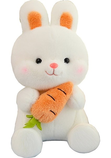 50 cm Yeni Havuç Tavşan ve Beyaz Tavşan Peluş Bebek Büyük Oturma Pozisyonu Tutan Havuç Tavşan Bebek Oyuncak (Yurt Dışından)