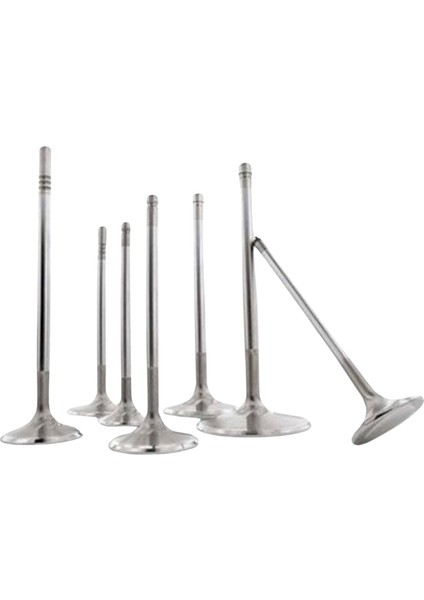 Subap Valfı Emme 8li Set – 641072 Wisco – Opel Agila A-B/ Astra H/ Combo C/ Corsa C-D Uyumlu