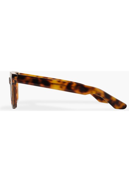 ROYAL EYEWEAR RE31105 LEOPAR POLARIZE GÜNEŞ GÖZLÜĞÜ