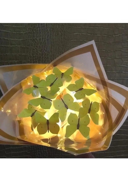 Ledli Pembe Kelebek Buketi