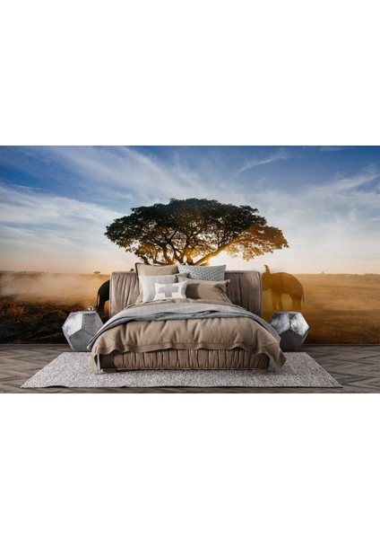 Gündoğumu Ağaç ve Fil Temalı fiyatları