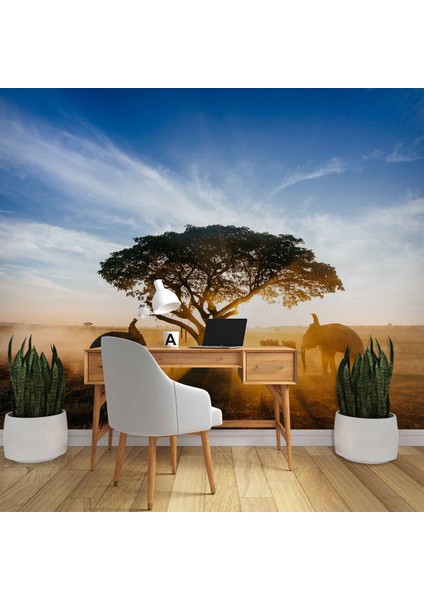 Gündoğumu Ağaç ve Fil Temalı modelleri