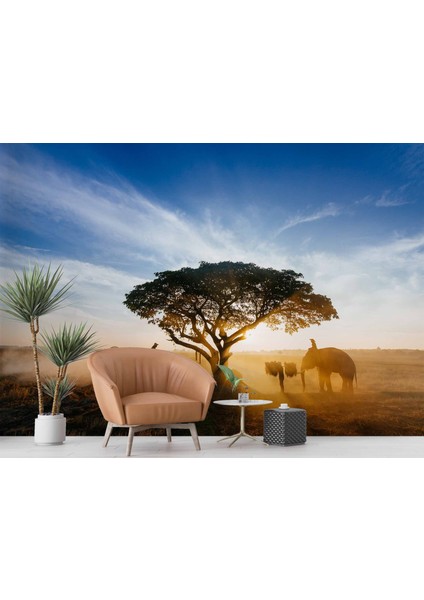 Gündoğumu Ağaç ve Fil Temalı fırsatları